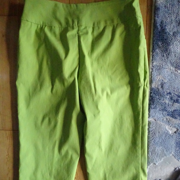 NEW WITHOUT TAGS LIOR  PULL ON CAPRI PANTS 76% RAYON , 21%NYLON, 3% SPANDEX - Picture 1 of 3